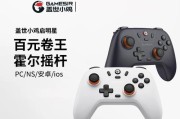 盖世小鸡游戏手柄应使用哪种充电器？充电器选择标准是什么？