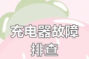 电瓶修复技术充电器使用方法？使用时应注意什么？