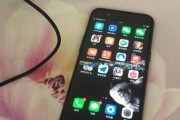 苹果手机内存4GB的强大性能（揭秘苹果手机4GB内存的卓越表现）