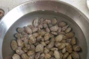 冰柜保存花甲的方法（新鲜美味久留口中）