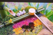 投影仪灯笼的安装步骤是什么？