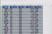 提升效率的Excel表格制作技巧（掌握这些技巧）