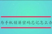 华为手机锁屏密码忘了怎么解开（忘记华为手机锁屏密码？不用担心）