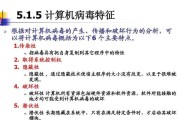 探究14种不同类型的计算机病毒（揭示计算机病毒的威胁与防范之道）