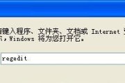 如何恢复不小心清空的回收站文件（有效方法帮助你找回被误清空的重要文件）