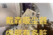 如何正确清洗戴森吸尘器滤网（掌握正确的清洗方法）