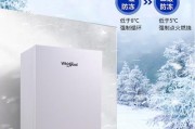 壁挂炉一开就停气了原因分析与解决方法（揭开壁挂炉停气的谜团）