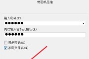 文件被加密怎么解开密码（有效方法解密被加密的文件）