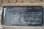 承包模式怎么写（承包合同分承包方式及特点）