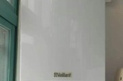 威能壁挂炉显示E9故障的处理方法（解决壁挂炉显示E9故障的有效措施）