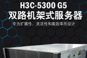 服务器主机的人工智能是什么？人工智能服务器主机有何特点？