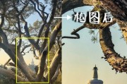 苹果手机拍摄建筑时应如何构图？