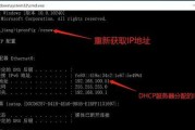 域名解析IP在线查询的重要性（掌握域名解析IP在线查询）