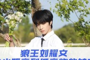 刘耀文低音炮的歌词翻译能否提供？歌曲传达了什么信息？