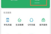 哪款苹果手机支持分付功能？