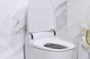 探究欧路莎马桶底部漏水原因（寻找解决漏水问题的方法和技巧）