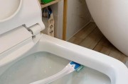 如何彻底解决马桶内边缘渗水问题（简单有效的方法帮您解决马桶渗水困扰）