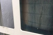 如何正确清洗空调滤网（简单易行的清洗步骤）