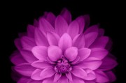 华为手机开启火花模式的方法是什么？有什么效果？