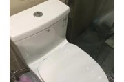 法恩莎马桶没电了怎么冲水（解决法恩莎马桶没电的冲水问题）