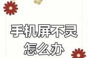 小屏幕苹果手机有哪些限制？为什么有些功能不能使用？