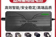 飞鹰电动车充电器的锂电电压是多少？
