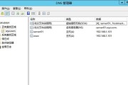 首选dns怎么填写？填写首选dns的正确步骤是什么？