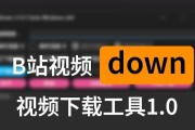 电脑如何下载b站视频到U盘？有哪些简单步骤？