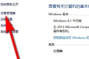 电脑没有声音的原因及解决方法（电脑无声的故障排查与修复）