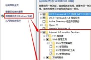 如何正确设置Windows功能的启用或关闭（简单操作让您轻松掌握Windows功能开启与关闭的技巧）