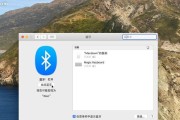 兰德蓝牙苹果手机的使用方法是什么？使用中可能遇到的问题有哪些？