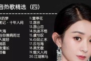 新电脑播放抖音热歌无声时应如何处理？