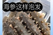 进口干海参泡发的正确方法是什么？如何避免泡发过程中的常见错误？