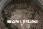 洗衣机水垢的处理方法（简单有效的清除技巧）