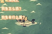 饥荒游戏中如何进行海钓操作？