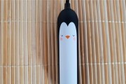 瑞士充电器如何连接电视频道？