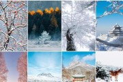 雪景拍照时手机构图技巧有哪些？