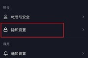 电脑抖音不显示图标如何设置？设置步骤是什么？