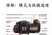如何使用佳能相机对焦功能进行手机拍照？佳能相机对焦技巧有哪些？