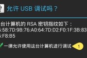 电脑无声时应如何进行故障调试？