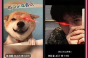 苹果手机为何缺少特效？如何开启或添加特效？