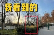 用手机拍出好照片的技巧有哪些？