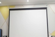 如何修复停产的投影仪（掌握关键维修技巧）