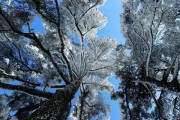 相机镜头拍雪后损坏怎么办？如何预防？