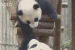 小米12s吉星高照功能如何设置？设置过程中常见问题有哪些？