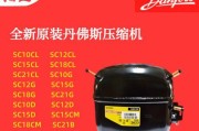 冰柜压缩机异味的处理方法（有效消除冰柜压缩机异味的实用技巧）