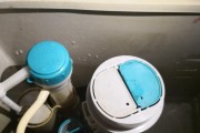 马桶不出水的原因及处理方法（解决马桶不出水的常见问题）