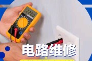如何解决壁挂炉插头老是跳闸的问题（探讨壁挂炉插头跳闸原因及解决方法）