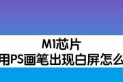 苹果电脑白屏问题解决方法（应对苹果电脑白屏困扰）