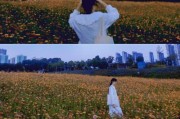 苹果手机拍照打卡的具体操作是什么？